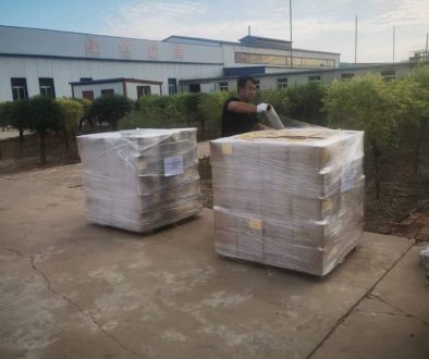 WhatsApp Image 2025-11-04 at 16.32.17