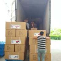 WhatsApp Image 2025-11-04 at 16.31.03 WhatsApp Image 2025-11-04 at 16.31.03