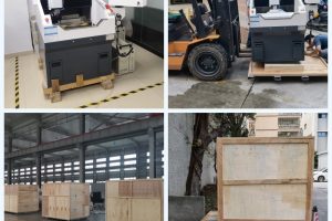 WhatsApp Image 2025-11-04 at 16.31.06 (3)