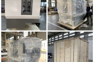 WhatsApp Image 2025-11-04 at 16.31.07