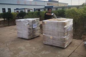 WhatsApp Image 2025-11-04 at 16.32.17