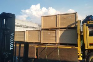 WhatsApp Image 2025-11-04 at 16.32.24