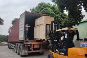 WhatsApp Image 2025-11-04 at 16.32.38